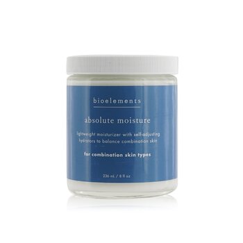 Absolute Moisture (Salon Size, For Combination Skin)